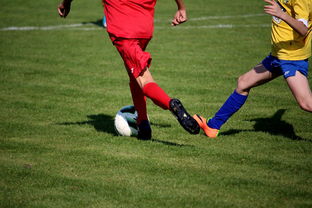 开云体育登录网站入口-NBA球员训练计划个性化设计，nba球员训练视频,篮球技术